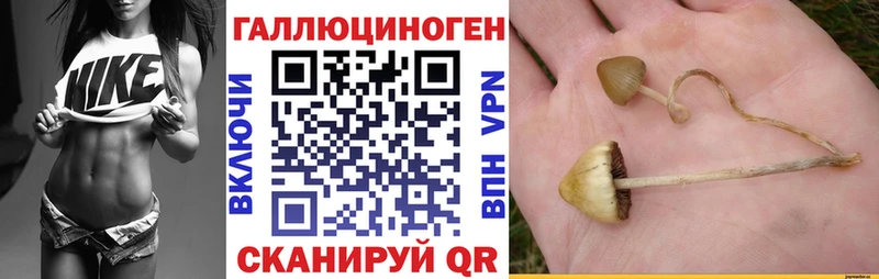 Псилоцибиновые грибы прущие грибы дарк нет состав Устюжна