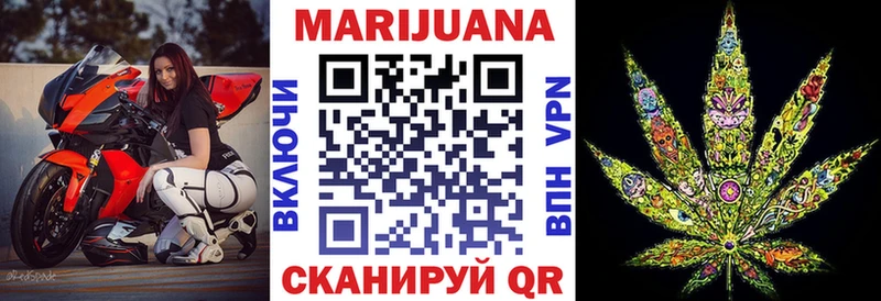 купить  сайты  Устюжна  Бошки марихуана Amnesia 